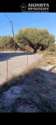εικόνα_Viber_2025-12-10_20-25-42-882.jpg